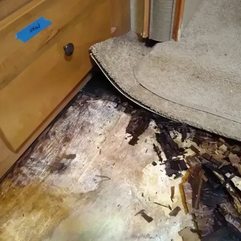 Best Wood Floor Water Damage Service in Watertown, NY